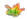 Flor