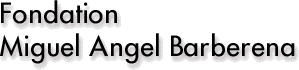 Fondation Miguel Angel Barberena