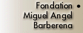 Fondation Miguel Angel Barberena