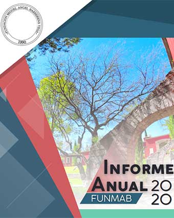 Informe 2020