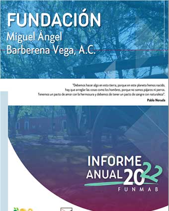 Informe 2022